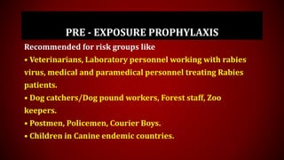 Rabies | PPTX