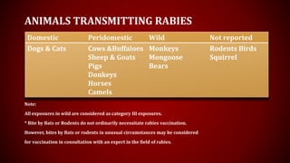 Rabies | PPTX