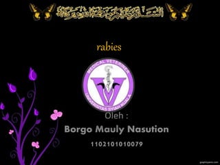 rabies 
Oleh : 
Borgo Mauly Nasution 
1102101010079 
 