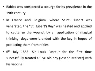 Rabies | PPTX