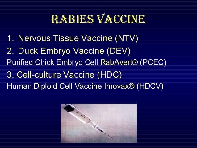 Rabies Rabies