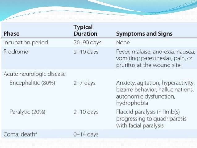 Chances Of Tetanus From Dog Bite Chances Of Tetanus From Dog Bite