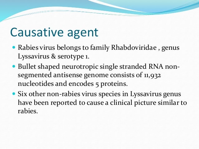 Rabies Powerpoint Presentation