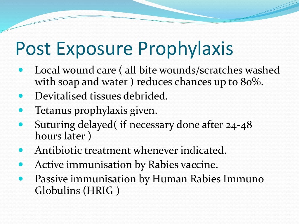 Rabies Powerpoint Presentation aerophobia, dog bite prophylaxis, hydr…
