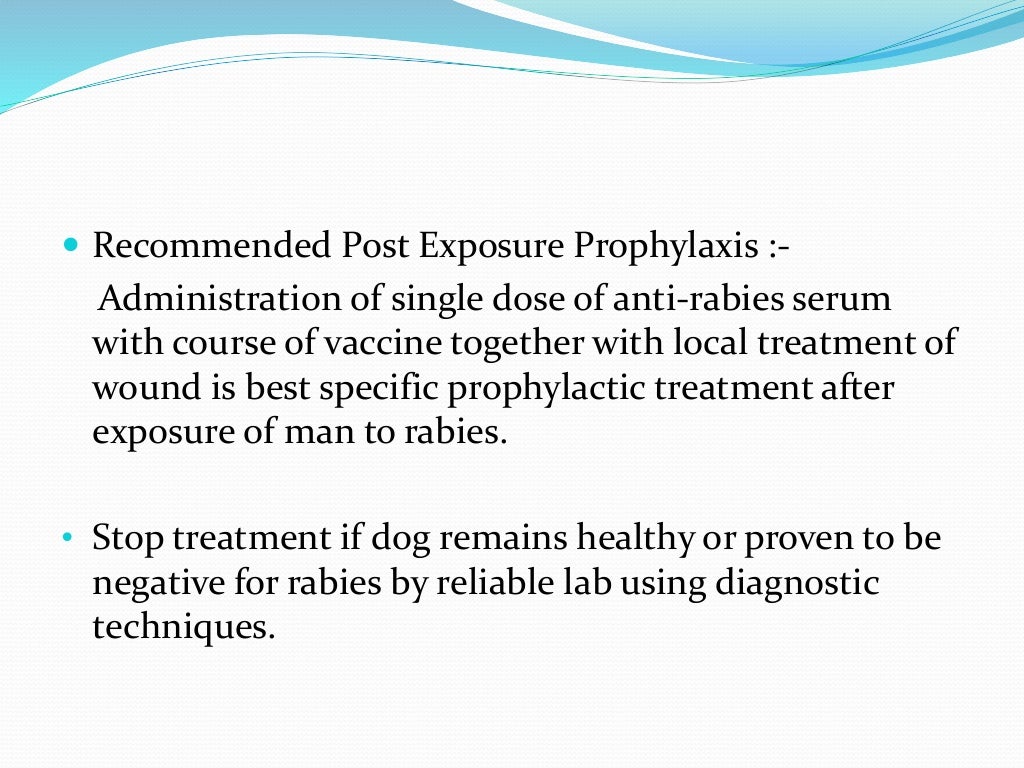 Rabies Powerpoint Presentation aerophobia, dog bite prophylaxis, hydr…
