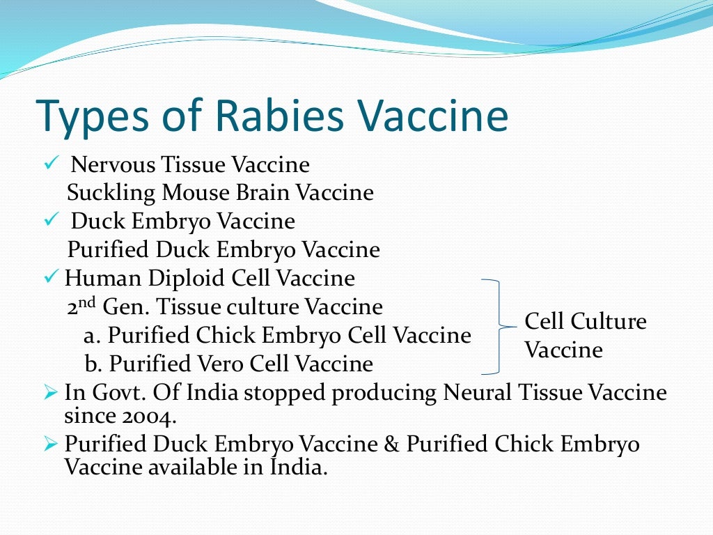 Rabies Powerpoint Presentation aerophobia, dog bite prophylaxis, hydr…