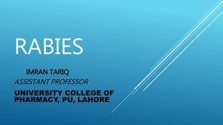 RABIES
IMRAN TARIQ
ASSISTANT PROFESSOR
UNIVERSITY COLLEGE OF
PHARMACY, PU, LAHORE
 