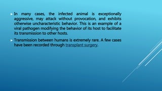 Rabies | PPTX