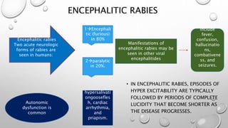 Rabies | PPTX