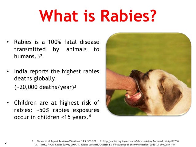 what is st known for rabies dr sharda jain dr rashmi jain dr jyoti what is st known for rabies dr sharda jain dr rashmi jain dr jyoti