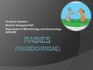 Dr.Kaveh Haratian
Medical Virologist,PhD
Department of Microbiology and Immunology-
ABZUMS
1
 