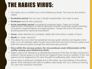 Is Rabies Acute Rabies | PPTX