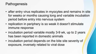 Rabies | PPTX