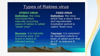 Rabies | PPTX