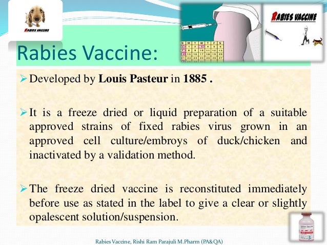 BIOASSAY OF RABIES VACCINE PDF