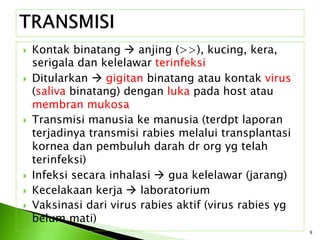  Kontak binatang  anjing (>>), kucing, kera,
serigala dan kelelawar terinfeksi
 Ditularkan  gigitan binatang atau kontak virus
(saliva binatang) dengan luka pada host atau
membran mukosa
 Transmisi manusia ke manusia (terdpt laporan
terjadinya transmisi rabies melalui transplantasi
kornea dan pembuluh darah dr org yg telah
terinfeksi)
 Infeksi secara inhalasi  gua kelelawar (jarang)
 Kecelakaan kerja  laboratorium
 Vaksinasi dari virus rabies aktif (virus rabies yg
belum mati)
9
 