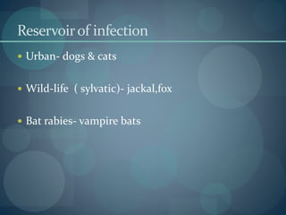 Reservoirof infection
 Urban- dogs & cats
 Wild-life ( sylvatic)- jackal,fox
 Bat rabies- vampire bats
 