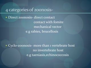 4 categoriesof zoonosis-
 Direct zoonosis- direct contact
contact with fomite
mechanical vector
e.g rabies, brucellosis
 Cyclo-zoonosis- more than 1 vertebrate host
no invertebrate host
e.g taeniasis,echinococcosis
 