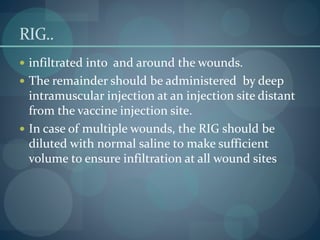 RIG..
 infiltrated into and around the wounds.
 The remainder should be administered by deep
intramuscular injection at an injection site distant
from the vaccine injection site.
 In case of multiple wounds, the RIG should be
diluted with normal saline to make sufficient
volume to ensure infiltration at all wound sites
 