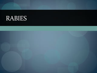 RABIES
 