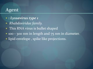 Agent
 : Lyssavirus type 1
 Rhabdoviridae family.
 This RNA virus is bullet shaped
 100 - 300 nm in length and 75 nm in diameter.
 lipid envelope , spike like projections.
 