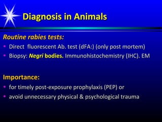 Rabies | PPT
