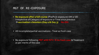 Rabies | PPTX