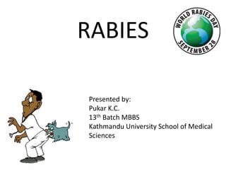 RABIES
Presented by:
Pukar K.C.
13th Batch MBBS
Kathmandu University School of Medical
Sciences
 