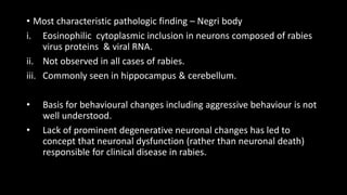 • Most characteristic pathologic finding – Negri body
i. Eosinophilic cytoplasmic inclusion in neurons composed of rabies
virus proteins & viral RNA.
ii. Not observed in all cases of rabies.
iii. Commonly seen in hippocampus & cerebellum.
• Basis for behavioural changes including aggressive behaviour is not
well understood.
• Lack of prominent degenerative neuronal changes has led to
concept that neuronal dysfunction (rather than neuronal death)
responsible for clinical disease in rabies.
 