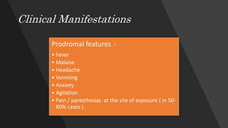 Clinical Manifestations
Prodromal features :-
• Fever
• Malaise
• Headache
• Vomiting
• Anxiety
• Agitation
• Pain / paresthesias at the site of exposure ( in 50-
80% cases ).
 