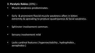 B. Paralytic Rabies (20%) :-
• Muscle weakness predominates.
• Early & prominent flaccid muscle weakness often in bitten
extremity & spreading to produce quadriparesis & facial weakness.
• Sphincter involvement common.
• Sensory involvement mild
• Lacks cardinal features ( hyperexcitability , hydrophobia ,
aerophobia )
 