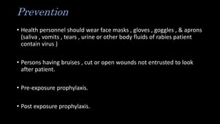Prevention
• Health personnel should wear face masks , gloves , goggles , & aprons
(saliva , vomits , tears , urine or other body fluids of rabies patient
contain virus )
• Persons having bruises , cut or open wounds not entrusted to look
after patient.
• Pre-exposure prophylaxis.
• Post exposure prophylaxis.
 