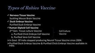 Types of Rabies Vaccine
 Nervous Tissue Vaccine
Suckling Mouse Brain Vaccine
 Duck Embryo Vaccine
Purified Duck Embryo Vaccine
Human Diploid Cell Vaccine
2nd Gen. Tissue culture Vaccine
a. Purified Chick Embryo Cell Vaccine
b. Purified Vero Cell Vaccine
In Govt. Of India stopped producing Neural Tissue Vaccine since 2004.
Purified Duck Embryo Vaccine & Purified Chick Embryo Vaccine available in
India.
Cell Culture
Vaccine
 