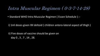 Intra Muscular Regimen ( 0-3-7-14-28)
• Standard WHO Intra Muscular Regimen ( Essen Schedule ) :-
i) 1ml doses given IM deltoid ( children antero-lateral aspect of thigh )
ii) Five doses of vaccine should be given on
day 0 , 3 , 7 , 14 , 28.
 