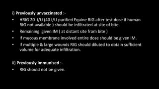 i) Previously unvaccinated :-
• HRIG 20 I/U (40 I/U purified Equine RIG after test dose if human
RIG not available ) should be infiltrated at site of bite.
• Remaining given IM ( at distant site from bite )
• If mucous membrane involved entire dose should be given IM.
• If multiple & large wounds RIG should diluted to obtain sufficient
volume for adequate infiltration.
ii) Previously immunised :-
• RIG should not be given.
 