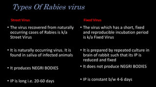 Types Of Rabies virus
Street Virus
• The virus recovered from naturally
occurring cases of Rabies is k/a
Street Virus
• It is naturally occurring virus. It is
found in saliva of infected animals
• It produces NEGRI BODIES
• IP is long i.e. 20-60 days
Fixed Virus
• The virus which has a short, fixed
and reproducible incubation period
is k/a Fixed Virus
• It is prepared by repeated culture in
brain of rabbit such that its IP is
reduced and fixed
• It does not produce NEGRI BODIES
• IP is constant b/w 4-6 days
 