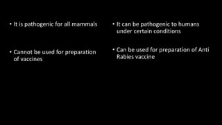 • It is pathogenic for all mammals
• Cannot be used for preparation
of vaccines
• It can be pathogenic to humans
under certain conditions
• Can be used for preparation of Anti
Rabies vaccine
 