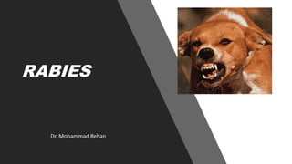 RABIES
Dr. Mohammad Rehan
 