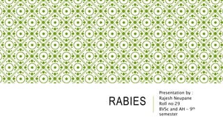 RABIES
Presentation by :
Rajesh Neupane
Roll no:29
BVSc and AH – 9th
semester
 