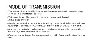 Rabies in HUMANS AND ANIMALS | PPTX