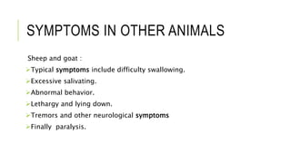 Rabies in HUMANS AND ANIMALS | PPTX