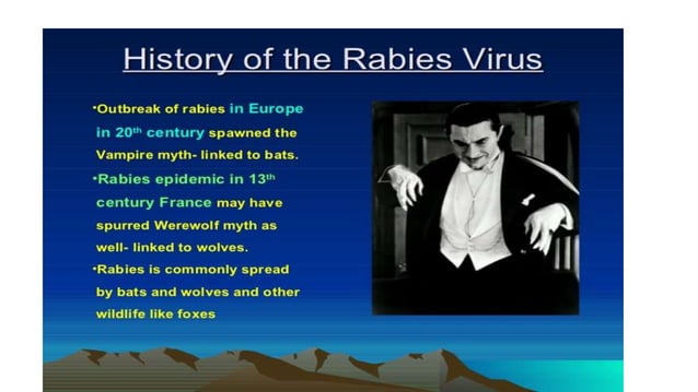 Rabies in HUMANS AND ANIMALS | PPTX