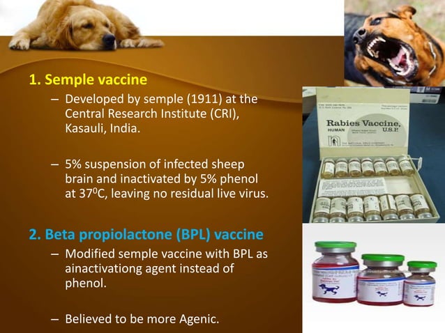 Rabies by Dr. Rakesh Prasad Sah | PPTX