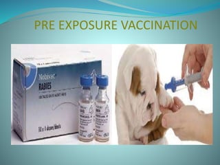 PRE EXPOSURE VACCINATION
 
