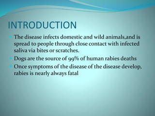 INTRODUCTION
 The disease infects domestic and wild animals,and is
spread to people through close contact with infected
saliva via bites or scratches.
 Dogs are the source of 99% of human rabies deaths
 Once symptoms of the disease of the disease develop,
rabies is nearly always fatal
 