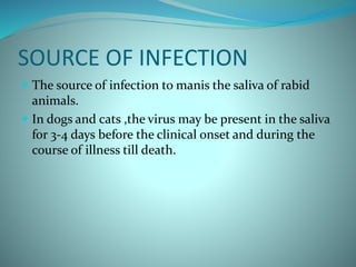 SOURCE OF INFECTION
 The source of infection to manis the saliva of rabid
animals.
 In dogs and cats ,the virus may be present in the saliva
for 3-4 days before the clinical onset and during the
course of illness till death.
 