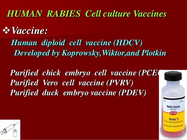 Rabies Vaccine Serial Numbers Rabies Vaccine Serial Numbers