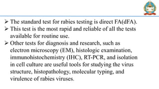 Rabies | PDF