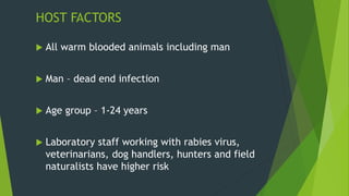 HOST FACTORS
 All warm blooded animals including man
 Man – dead end infection
 Age group – 1-24 years
 Laboratory staff working with rabies virus,
veterinarians, dog handlers, hunters and field
naturalists have higher risk
 