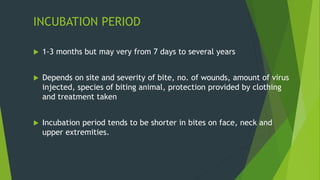 INCUBATION PERIOD
 1-3 months but may very from 7 days to several years
 Depends on site and severity of bite, no. of wounds, amount of virus
injected, species of biting animal, protection provided by clothing
and treatment taken
 Incubation period tends to be shorter in bites on face, neck and
upper extremities.
 